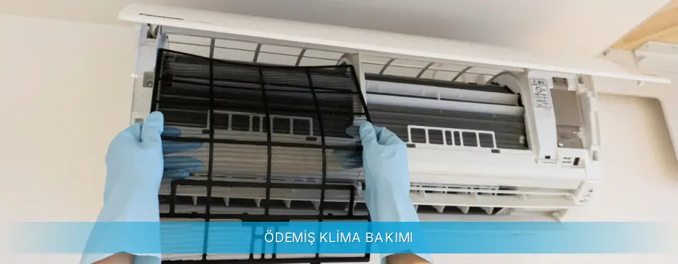Ödemiş İlçemi Daikin Klima Bakımı