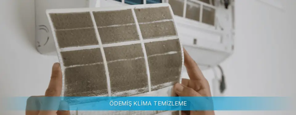 Ödemiş İlçemi Daikin Klima Temizleme